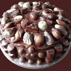 Chocolate Sea Shell Cake