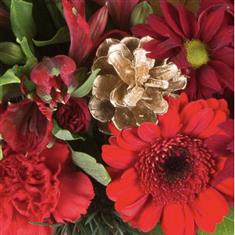 Christmas Florist Choice