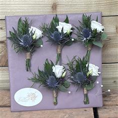 Thistle and White Button Hole