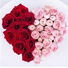 Pink and Red Rose Heart