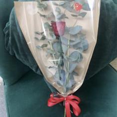 Infinity Single Red Rose 