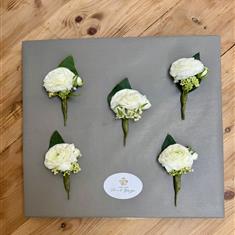 Ranunculus Button Holes 