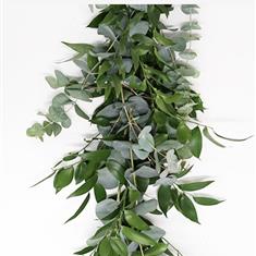 SOFT RUSCUS &amp; EUCALYPTUS CINEREA