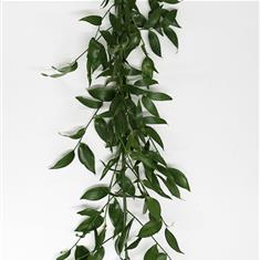 Soft Ruscus Garland 