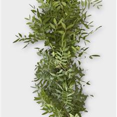 Fresh Pistache Garland 