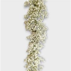 Fresh Gypsophila Garland