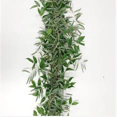 Ruscus &amp; Eucalyptus Nicholii Garland 