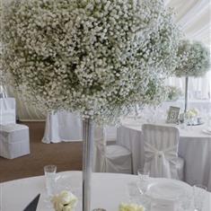Gyp, Gypsophila, Baby's Breath Ball 50CM Centrepiece Hire