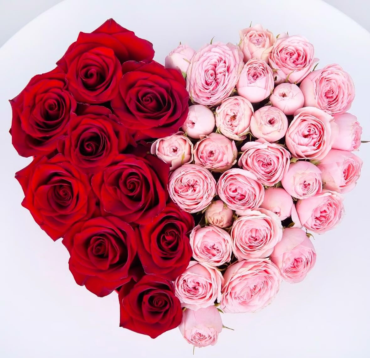 Infinity Rose Box preserved rose gift