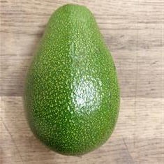 avocado pear 