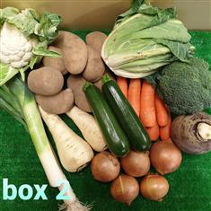 Box 2 - Veg for 3 for 1 Week