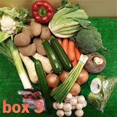 Box 3 - Veg for 4 for 1 Week