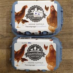 Free range eggs (6 )
