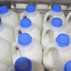 Milk Whole 1ltr