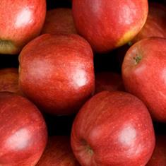 Apples Gala