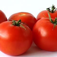 Tomatoes