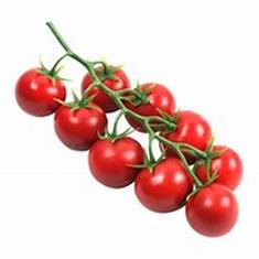 Tomatoes Cherry Vine