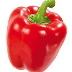 Pepper Red