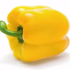 Peppers Yellow