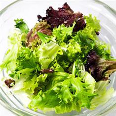 Little Gem Lettuce