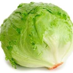 Iceberg Lettuce