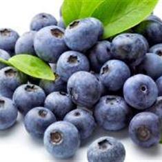 Blue Berries