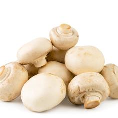 Mushrooms