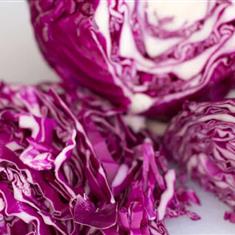 cabbage Red