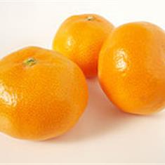 Satsumas