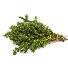 Fresh Herbs rosemary