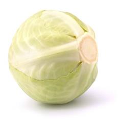 White Cabbage Large