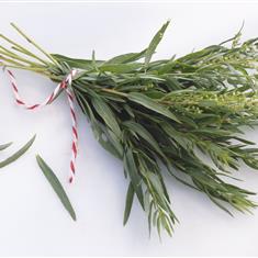 Fresh Taragon