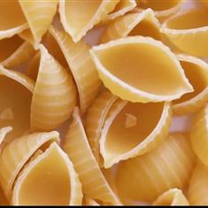 Pasta Shells