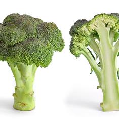 Broccoli 