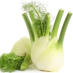 Fennel 50g