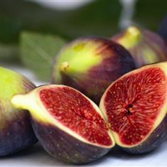 Figs