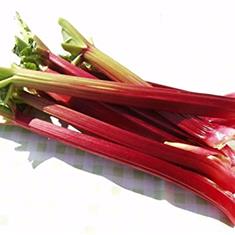 rhubarb 500g