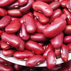Kidney Beans