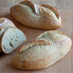 Bloomer White