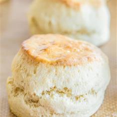 Plain Scones