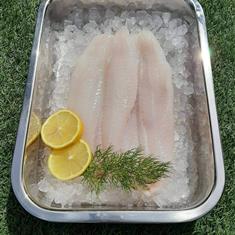 Large Haddock Fillets