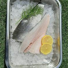 Seabass Fillets