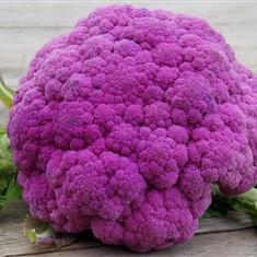 Cauliflower Purple