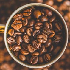 Luxury Fresh Coffee Beans