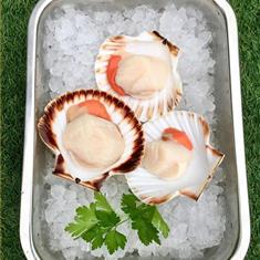 King Scallops