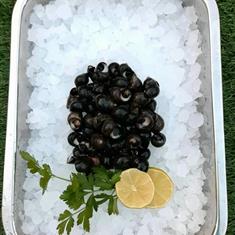 Winkles