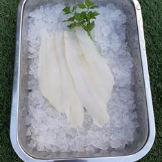 Lemon Sole