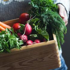 Spring Box