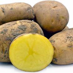 egyptian new potatoes