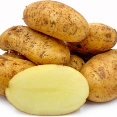 Cypris New Potatoes